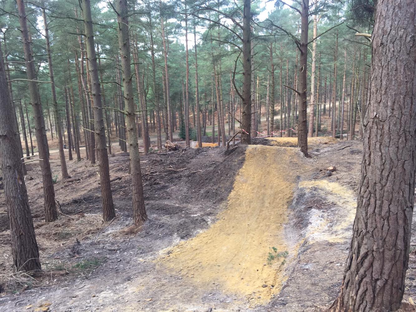 swinley forest mountain bike freeride area