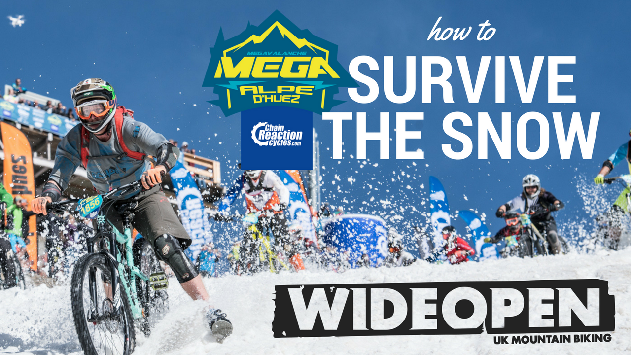 Mega Avalanche Top tips on how to survive the snow!